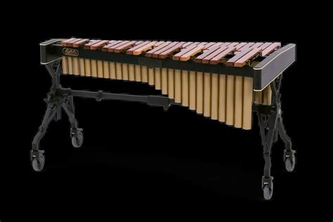 famous xylophone players best of all time top music tips