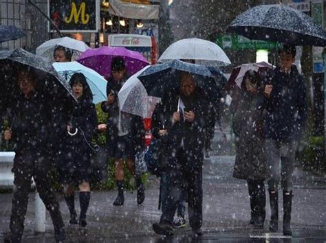 Tokyo Gets November Snow For First Time In 54 Years Business Standard