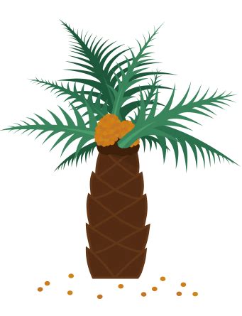 Check spelling or type a new query. Kelapa Sawit Logo by Dr. Mordechai Abbott I (Dengan gambar) | Ilustrasi, Kelapa, Anak