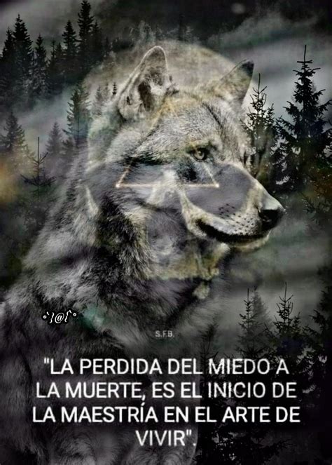 Pin De Yoly Reyes En Lobos Frases De Lobos Diario De Un Lobo Amor Y