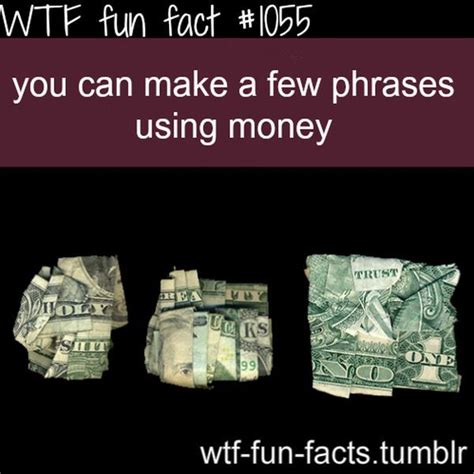 Selection Of Wtf Fun Facts 45 Pics