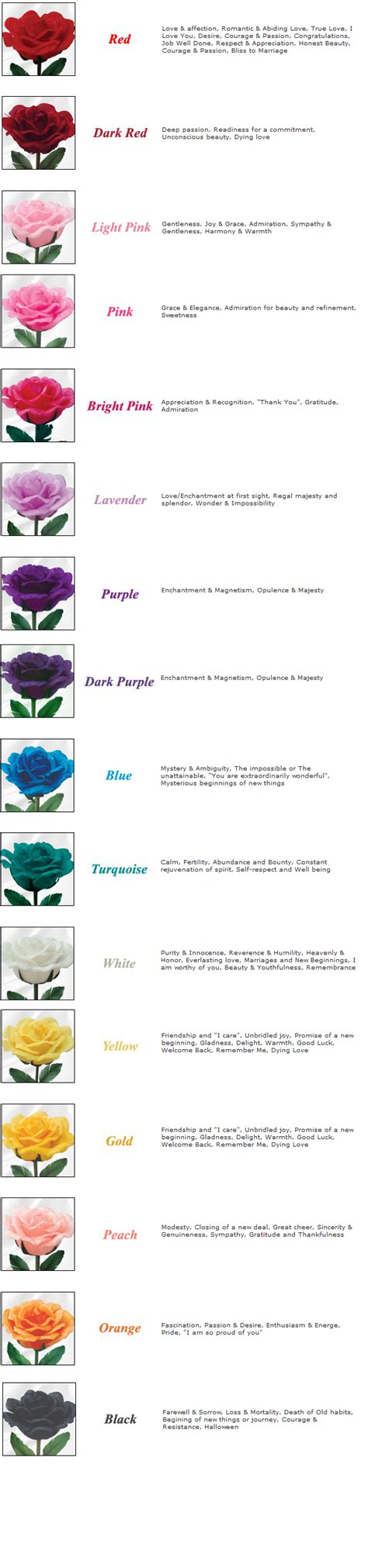 Not Found Color Meanings Rose Color Meanings Flower Meanings