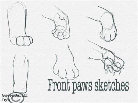 Front Paws Sketches By Dyb On Deviantart Paw Sketch Paw Drawing Cats Art Drawing