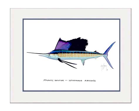 Atlantic Sailfish Mini Print Guy Harvey