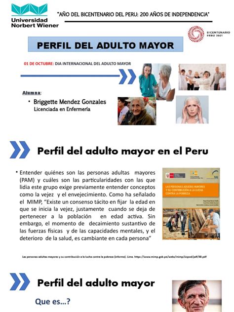Perfil Del Adulto Mayor Pdf Vejez Perú