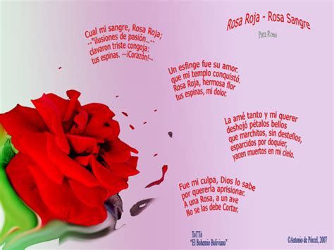 Poemas De Flores ~ Imágenes De 10
