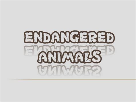 Endangered Animals Ppt