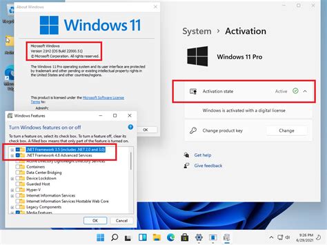 Windows 11 Insider Preview Stability