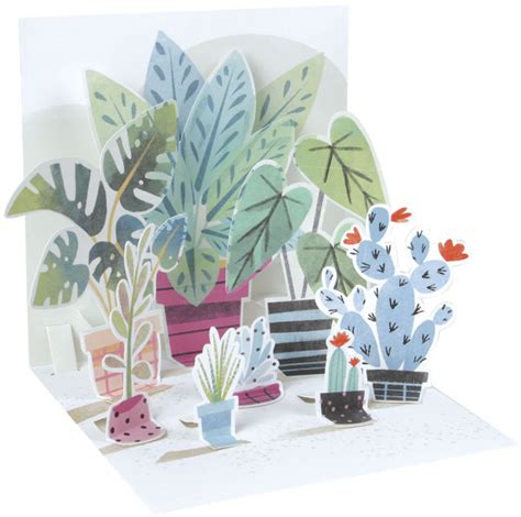Potted Plants Pop Up Greeting Card In 2020 With Images Pop Up