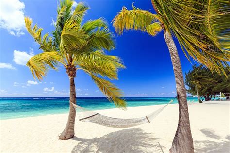 16 Mejores Playas Del Caribe ️todo Sobre Viajes ️
