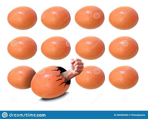 Break the Mold Freedom Convention Different Success Business Metaphor