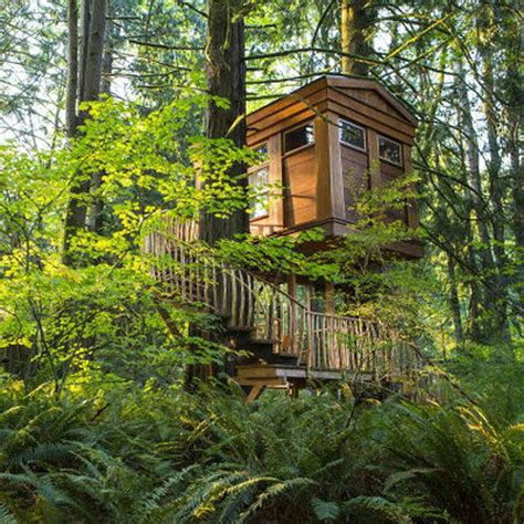 11 amazing treehouse designs