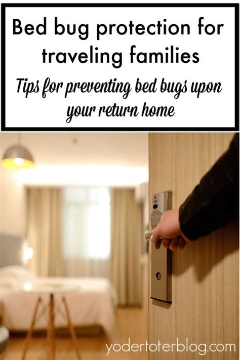 Preventing Bed Bugs While Traveling Yodertoterblog Bed Bug Travel