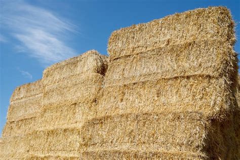 Straw Bales Close Up Stock Image Image Of Harvest Bail 116260555
