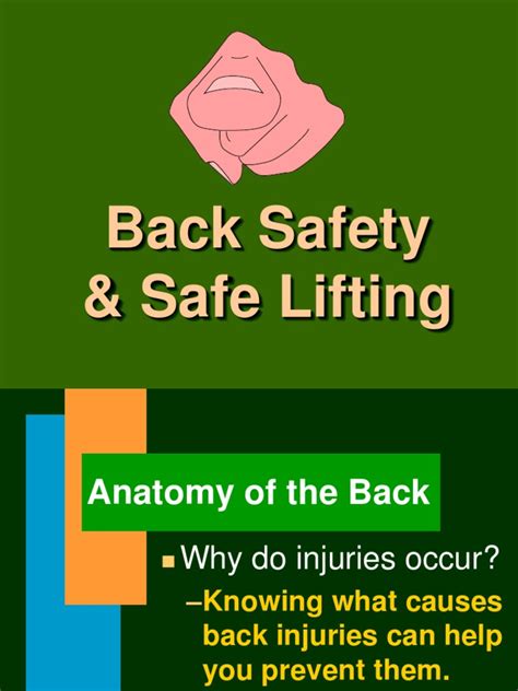 Back Safety And Safe Lifting Pdf Human Anatomy Injury