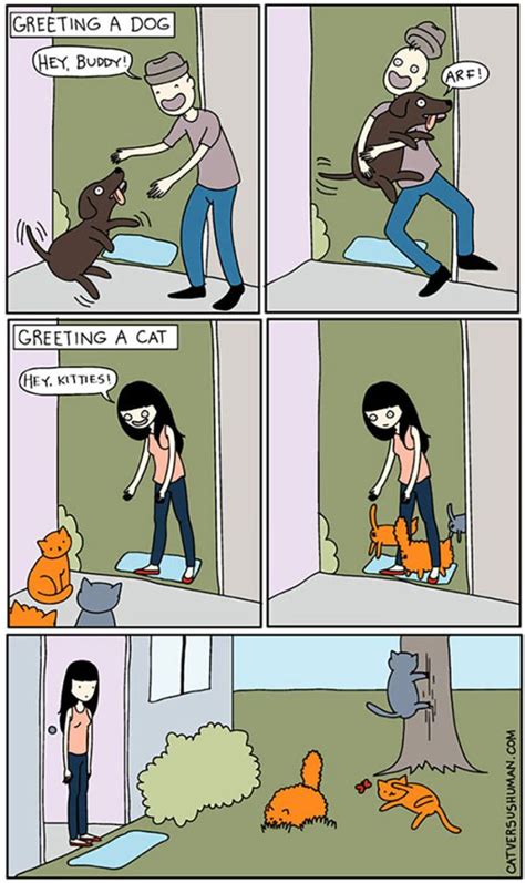 The Differences Between Cats And Dogs 25 Pics