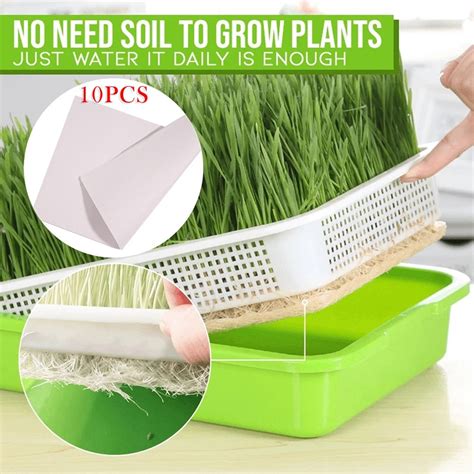 The first tray should not have its lid cut, but the other should. Sprouting Tray, Bean Sprout Planter, BPA-Free Home Plastic 2-Layer Hollow Kit Germination Tool ...