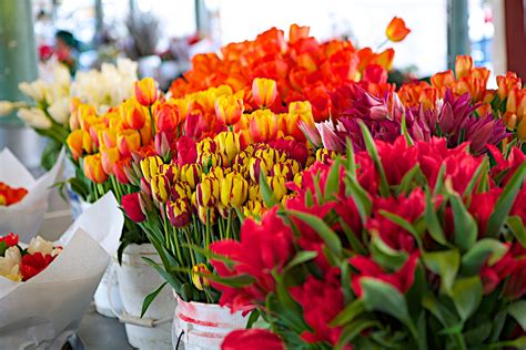 Tulips At Pike Place Market Davonna Juroe