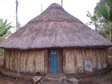Mewarnai Rumah Adat Papua