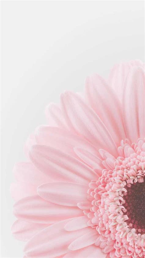 Pastel Aesthetic Flower Wallpapers Wallpaper Cave