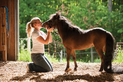 All About Miniature Horses Young Rider Magazine
