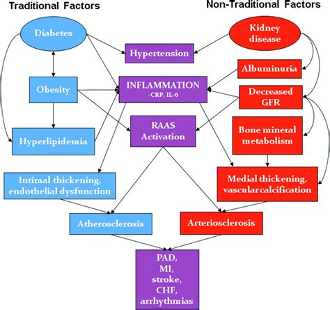 Chronic diseases such as cardiovascular disease (cvd), diabetes and chronic kidney disease (ckd) are leading causes of ill health, disability and death in australia. Comprehensive Care for People With Diabetic Kidney Disease ...