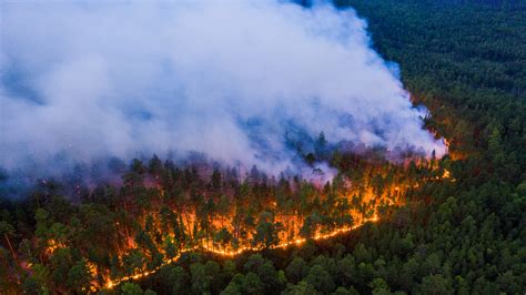 Las Imágenes Más Impactantes De Los Incendios Forestales Causados Por