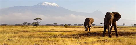 How We Plan Your Safari Vacation Inspiration Audley Travel