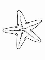 Sea Coloring Star Drawing Starfish Printable Animal Animals Fish Colouring Patrick Invertebrates Stars Sheets Da Colorare Di Ocean Cartoon Getdrawings sketch template