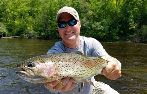 Manistee River Fishing Reports Tippy Dam Salmon Fishing Reports