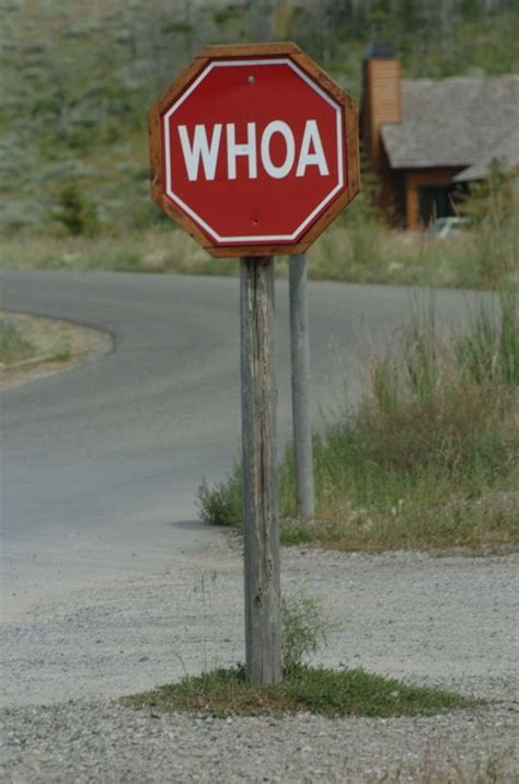 323 Best Weird Crazy Road Signs Images On Pinterest Funny Signs