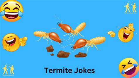 50 termite jokes funny one liners to tickle your funny bone