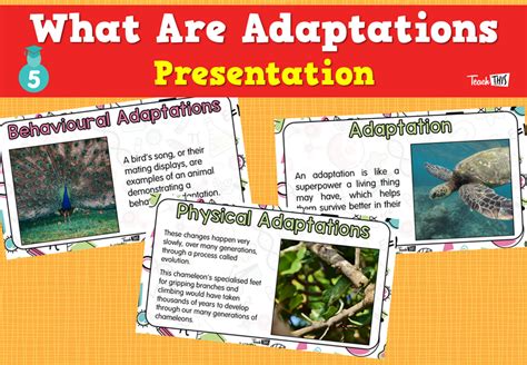What Are Adaptations Presentation Teacher Resources And Classroom