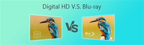 Digital Hd Vs Blu Ray Lequel Est Le Meilleur Choix Pour Vous