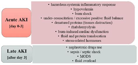 Etiology Of Burn Induced Acute Kidney Injury Notes Aki Acute Kidney