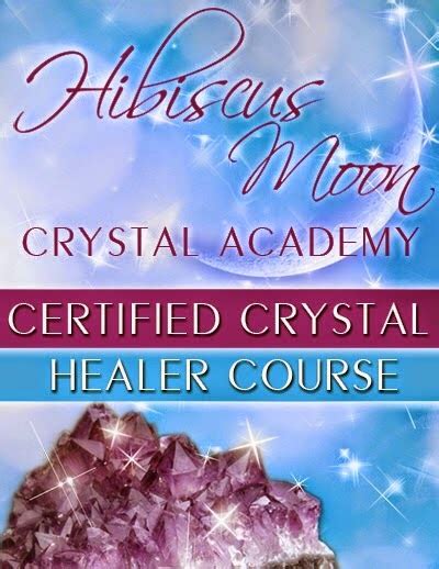 Review Time Review Time Insider Review Hibiscus Moon Crystal