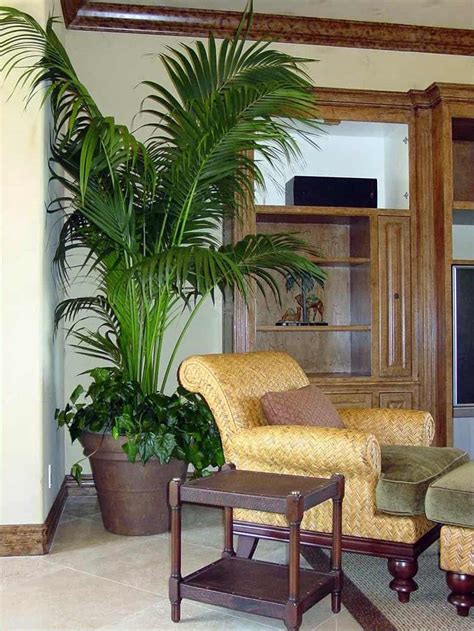 25 Best Living Room Ideas Stylish Living Room Decorating Indoor Palm