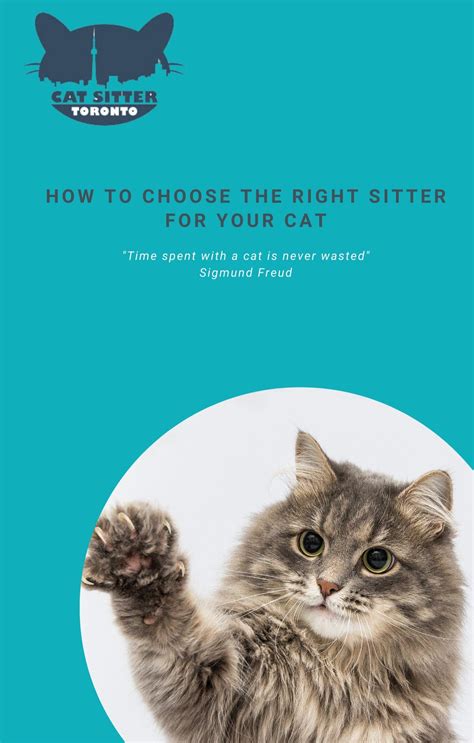 Cat Sitter Toronto Inc Presents