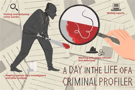 Criminal Profiling Job Description Salary Skills And More