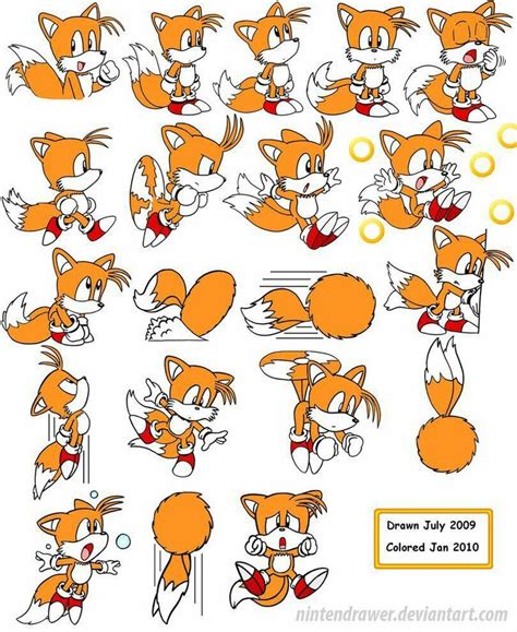 An Orange Fox Character Sheet With Various Poses And Expressions