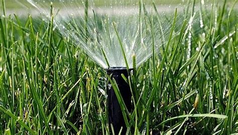How to do a sprinkler system yourself. How to Design a Sprinkler System | Garden Guides