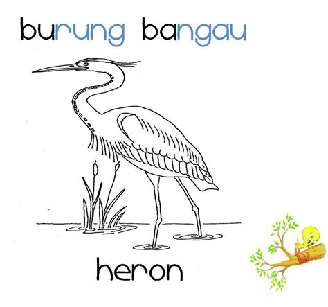 Buat latihan lembaran kerja sifir anda. CIKGU EELA (IL) PRESCHOOLERS @ PCE: buku skrap :: burung
