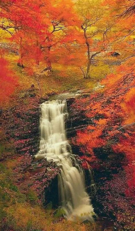 Pin By Mihir Roy On Beautiful Picture Beautiful Waterfalls Beautiful