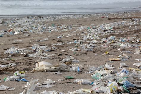 World Oceans Day How Plastic Pollution Affects Health