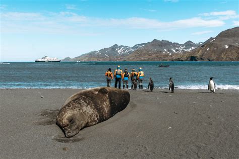 South Georgia Island Photos That Will Make You Want To Visit