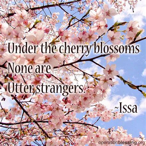 Under The Cherry Blossoms None Are Utter Strangers Haiku Poem By