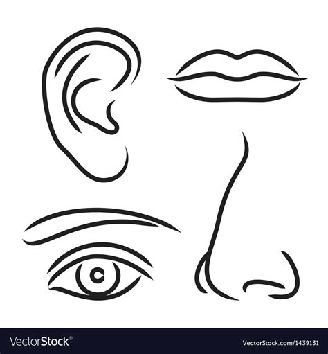 Eyes Nose Mouth Ears Template