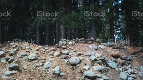 Soil Erosion Caused By A Landslide In A Pine Forest In Doodhpathri