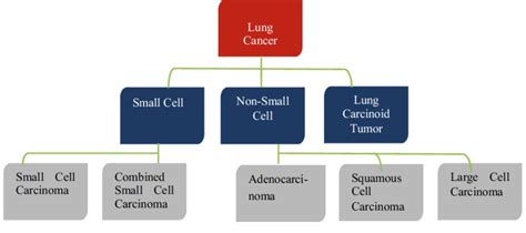 Classification Of Lung Cancer Download Scientific Diagram
