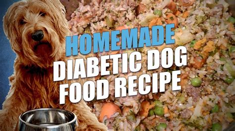 Diabetes in dogs can occur as young as 18 months of age. Homemade Diabetic Dog Food Recipe (Cheap and Healthy (With ...